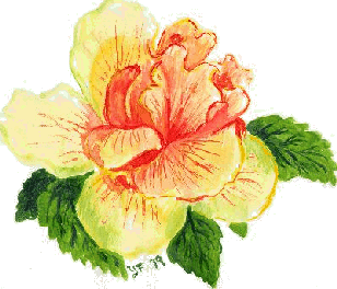 hibiscus by Yvonne Forsling