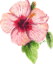 hibiskus av Yvonne Forsling