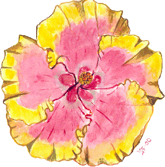 hibiscus by Yvonne Forsling